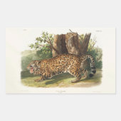 Jaguar (Felis onca) uit Noord-Amerika (1845) Rechthoekige Sticker (Voorkant)