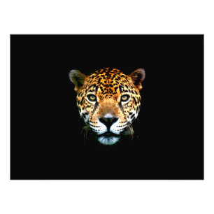 Jaguar Foto Afdruk