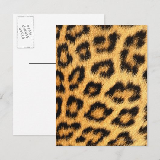 Jaguar Fur Briefkaart (Voorkant / Achterkant)