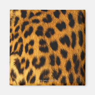 Jaguar Fur Magneet