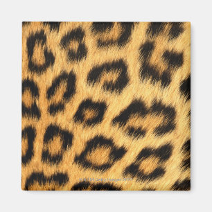 Jaguar Fur Magneet