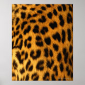 Jaguar Fur Poster (Voorkant)