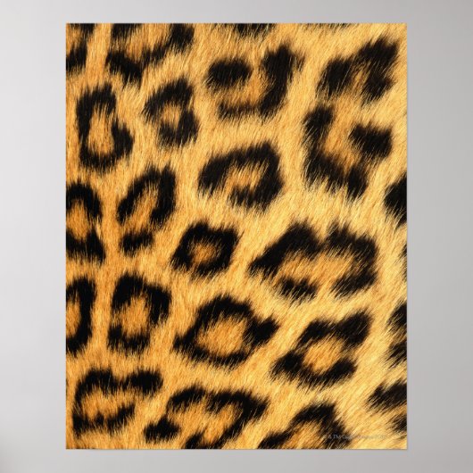 Jaguar Fur Poster (Voorkant)