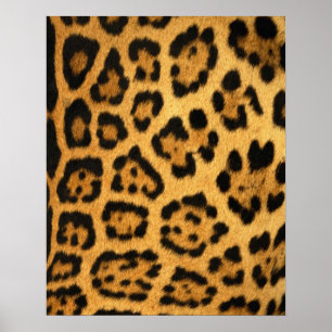 Jaguar Fur Print