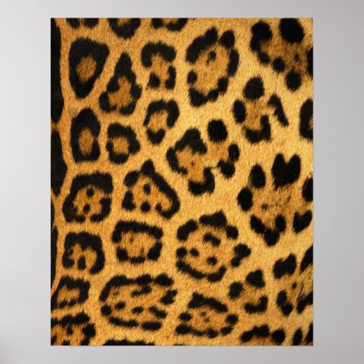 Jaguar Fur Print (Voorkant)