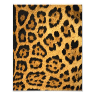 Jaguar Fur Print Foto Afdruk