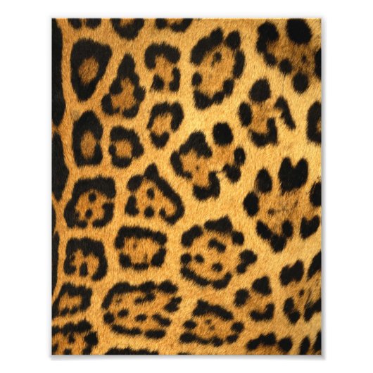 Jaguar Fur Print Foto Afdruk (Voorkant)