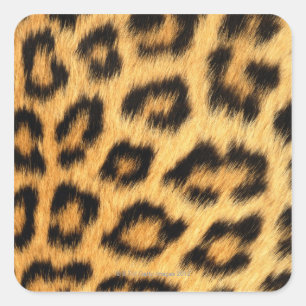 Jaguar Fur Vierkante Sticker