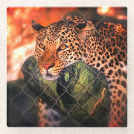 Jaguar Glazen Onderzetter