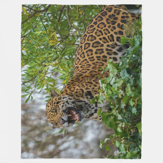 Jaguar Growl Fleece Deken (Voorkant)