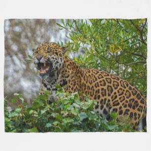 Jaguar Growl Fleece Deken