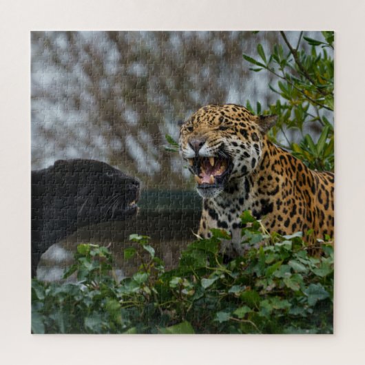 Jaguar Growl Legpuzzel (Verticaal)