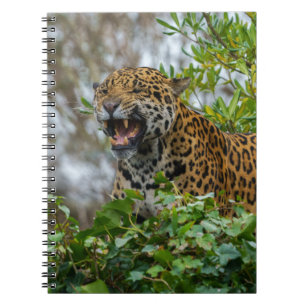 Jaguar Growl Notitieboek