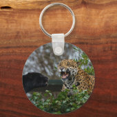 Jaguar Growl Sleutelhanger (Voorkant)