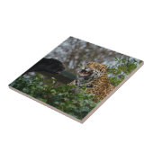 Jaguar Growl Tegeltje (Zijkant)