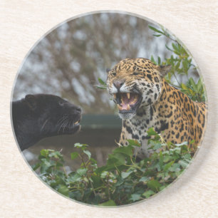 Jaguar Growl Zandsteen Onderzetter
