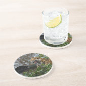 Jaguar Growl Zandsteen Onderzetter (Zijkant)