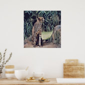 Jaguar in de bosolieverf , Poster (Keuken)