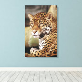 Jaguar in doek gewikkeld canvas afdruk (Insitu (Houten vloer))