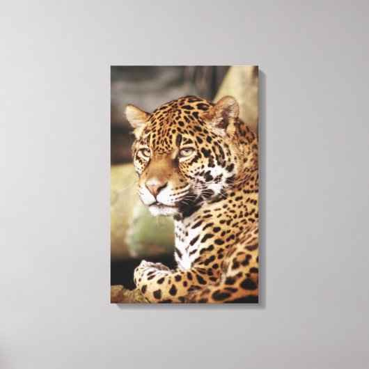Jaguar in doek gewikkeld canvas afdruk (Voorkant)