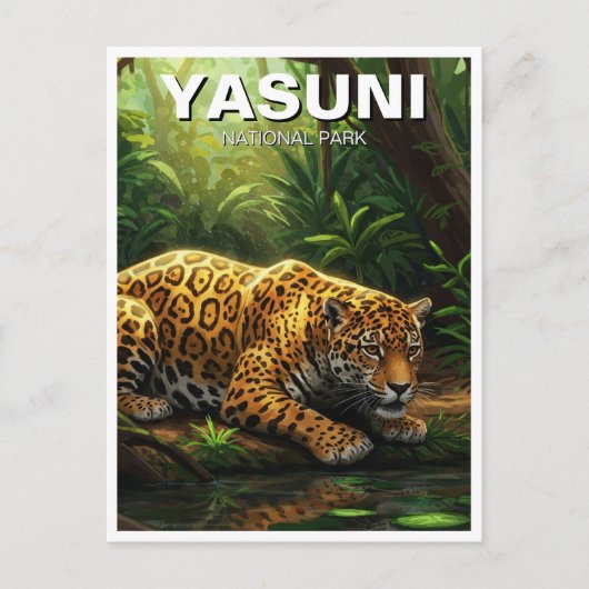 Jaguar in Yasuni Nationaal Park Ecuador Briefkaart (Voorkant)