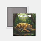 Jaguar in Yasuni Nationaal Park Ecuador Magneet (Voorkant / Achterkant)