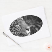 Jaguar in zwart-wit ovale sticker (Envelop)