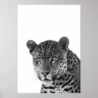 Jaguar Jungle Modern Portret zwart wit