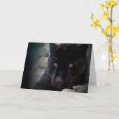 Jaguar Kaart (Gele Bloem)