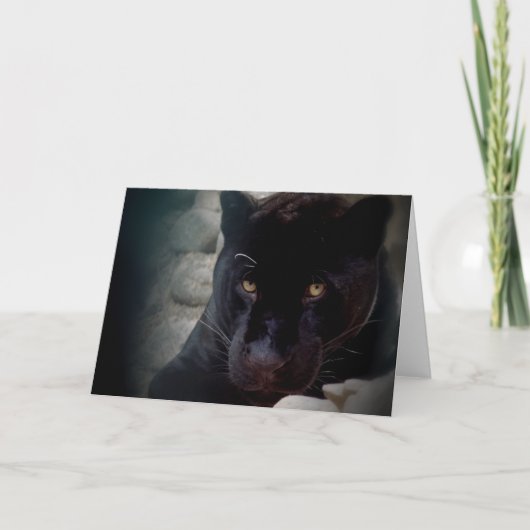 Jaguar Kaart (Voorkant)