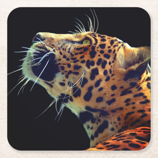 Jaguar Kartonnen Onderzetters (Voorkant)