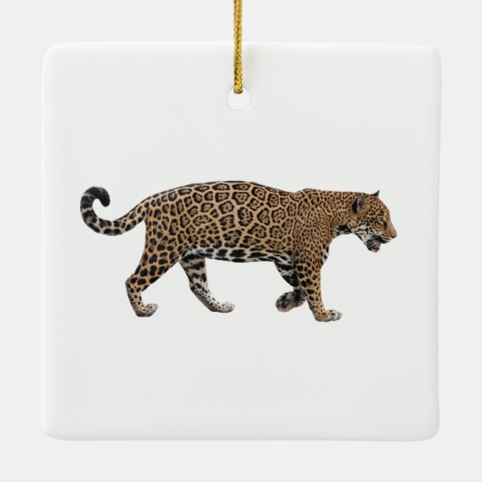 Jaguar Keramisch Ornament (Achterkant)