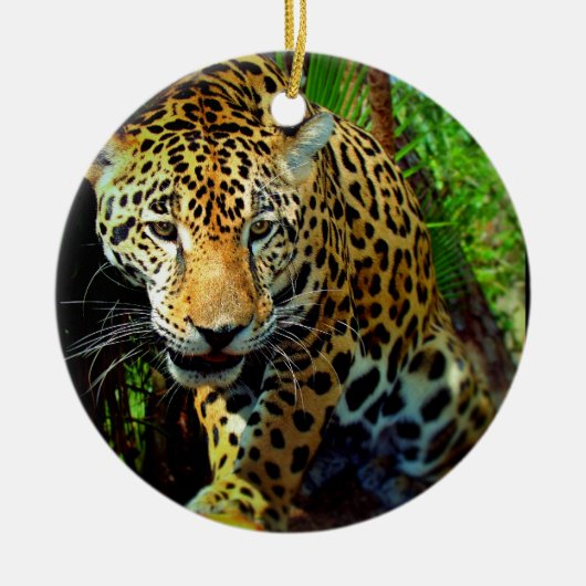 Jaguar Keramisch Ornament (Voorkant)