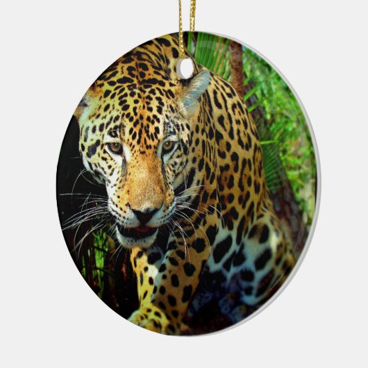 Jaguar Keramisch Ornament (Links)