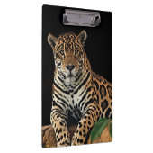 Jaguar Klembord (Rechts)