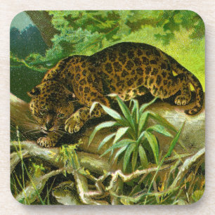 Jaguar klimt over de rails naar boven om water te  drankjes onderzetter