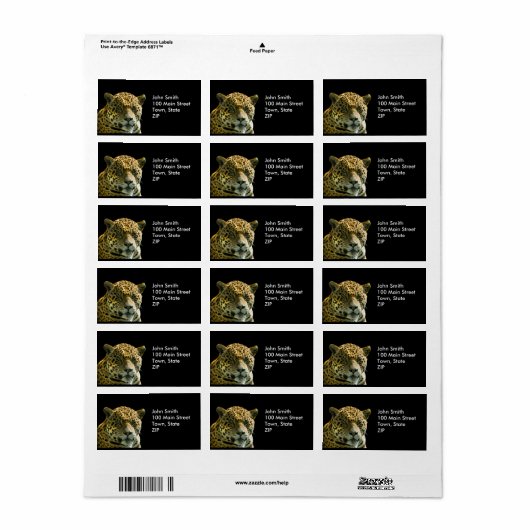 Jaguar Labels (Full Sheet)