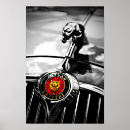 Jaguar Leaper Leaping Cat Poster