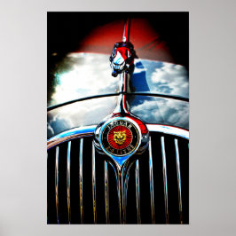 Jaguar Leaper Leaping Cat Poster