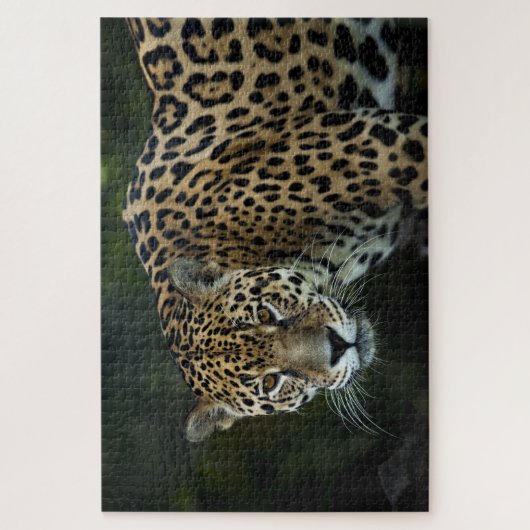 Jaguar Legpuzzel (Verticaal)