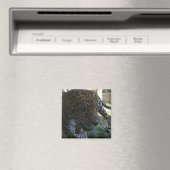 Jaguar Magneet (Insitu (Vaatwasser))