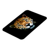 Jaguar Magneet (Linkerzijde)
