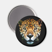 Jaguar Magneet (Voorkant / Achterkant)