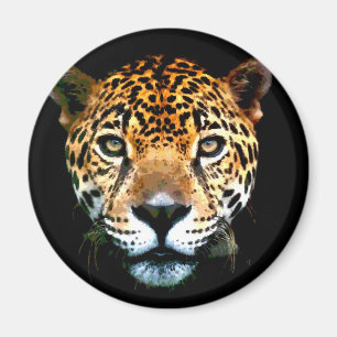 Jaguar Magneet