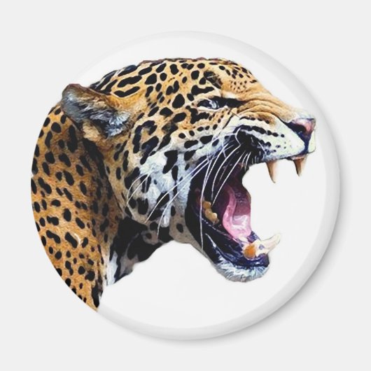 jaguar magneet (Voorkant)
