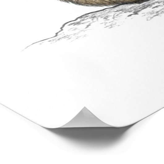 Jaguar met kleur poster (Hoek)