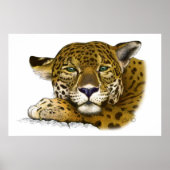 Jaguar met kleur poster (Voorkant)