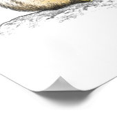 Jaguar met kleur poster (Hoek)