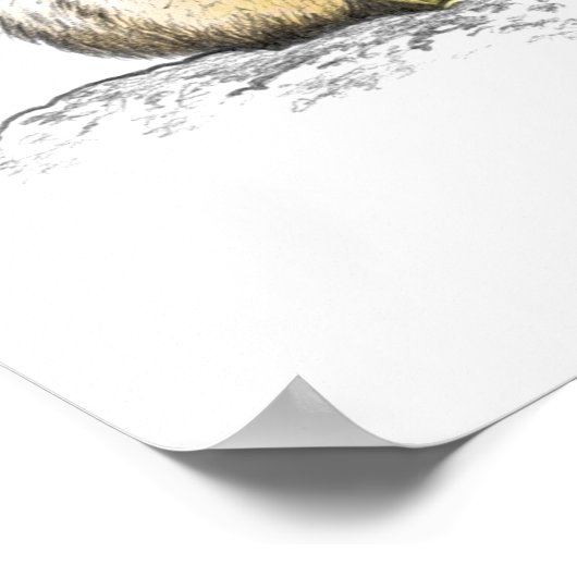 Jaguar met kleur poster (Hoek)