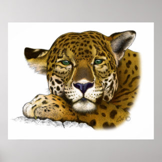 Jaguar met kleur poster